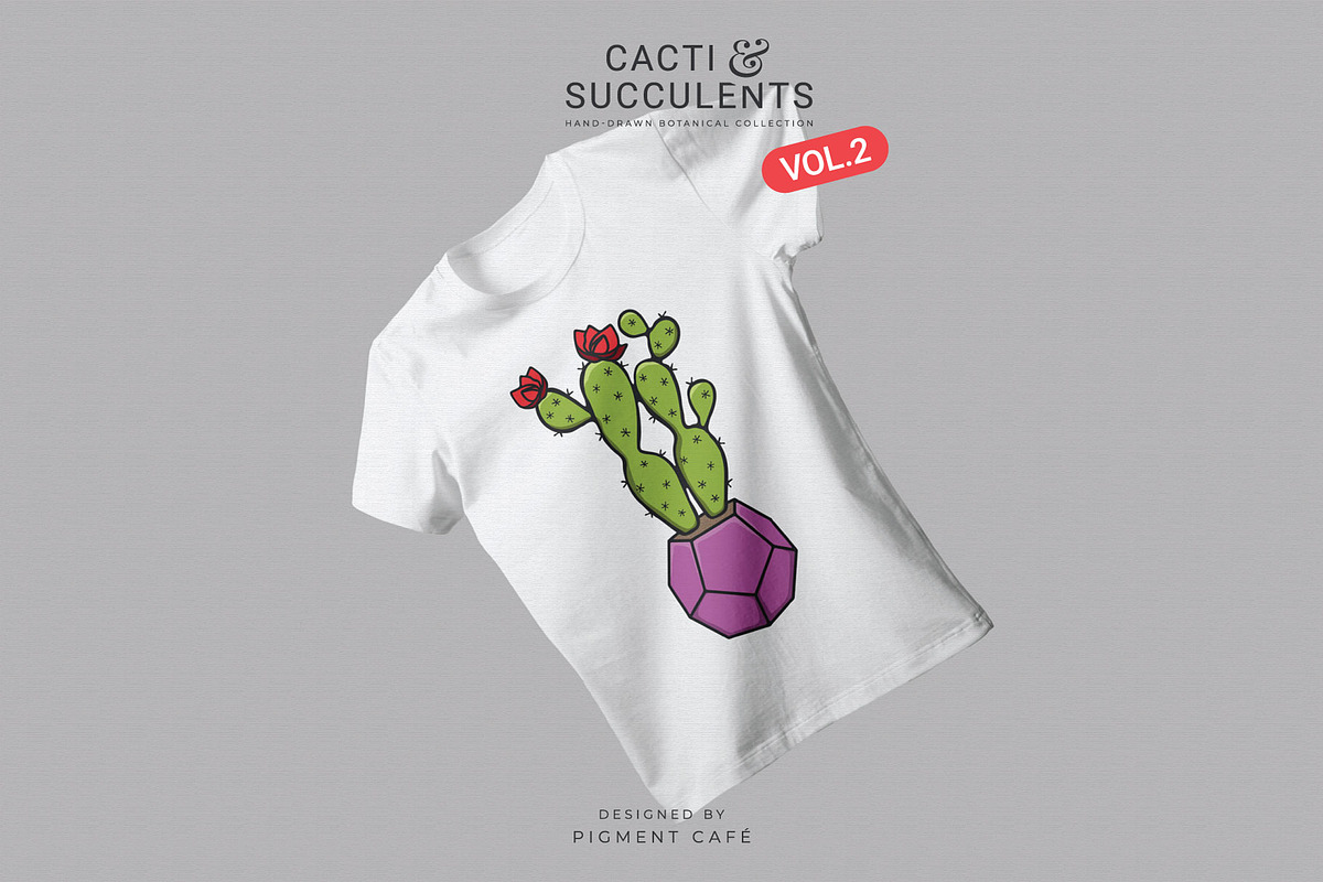 Cacti & Succulents Graphics Bundle 2, a Decorative Illustration by Pigment Café (Photo 8 of 8)