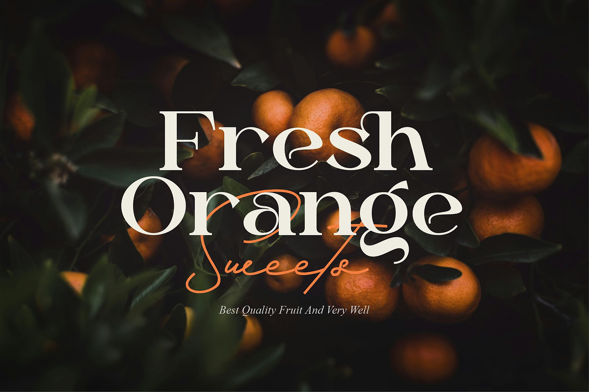 Dailen Style || Serif Font, a Serif Font by Idea Studio (Photo 2 of 10)