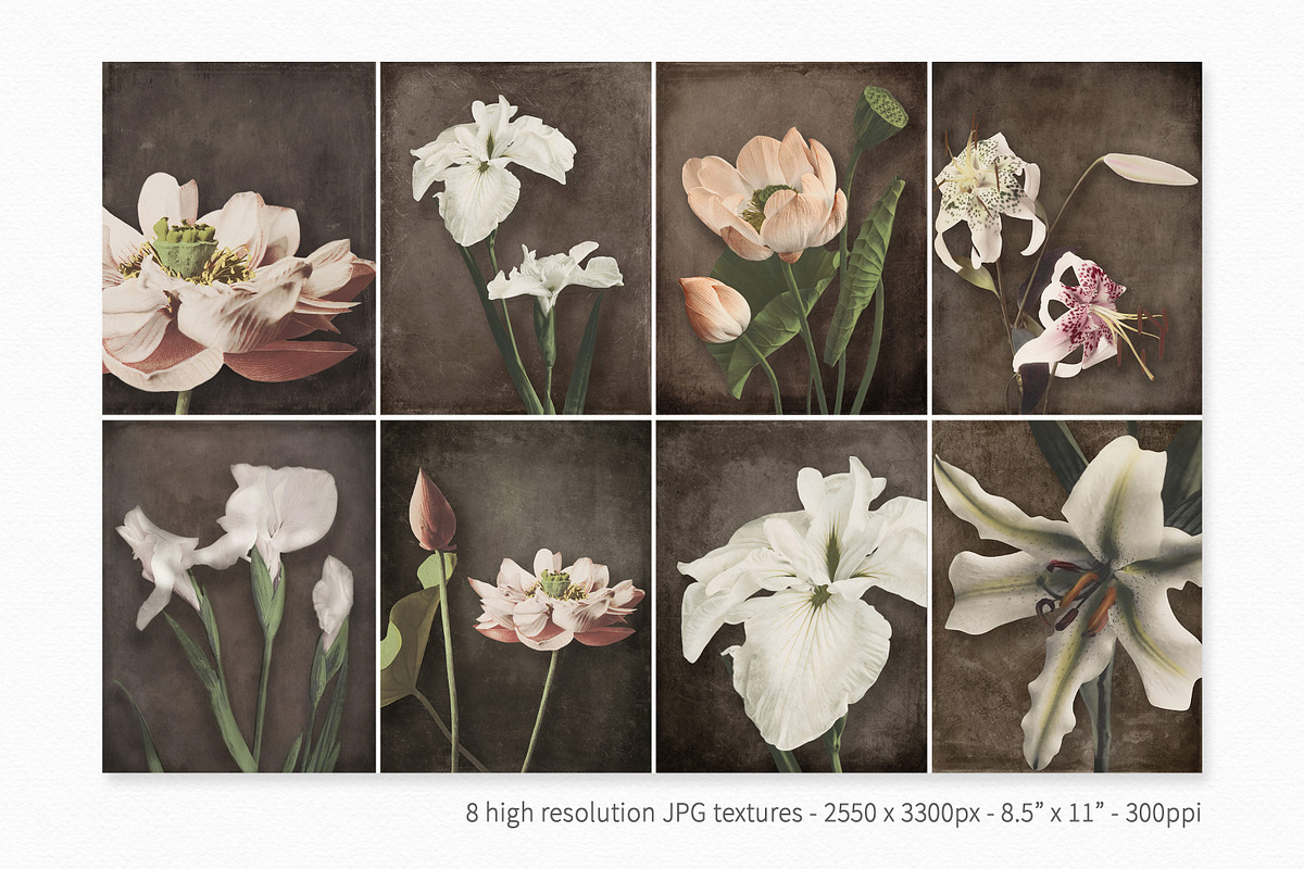 Vintage Japanese II, a Decorative Illustration by rileyBgraphics (Photo 2 of 7)