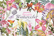 BEST SPRING FLOWERS, an Illustration by Alisa Mikibith Art (Thumbnail 13 of 17)