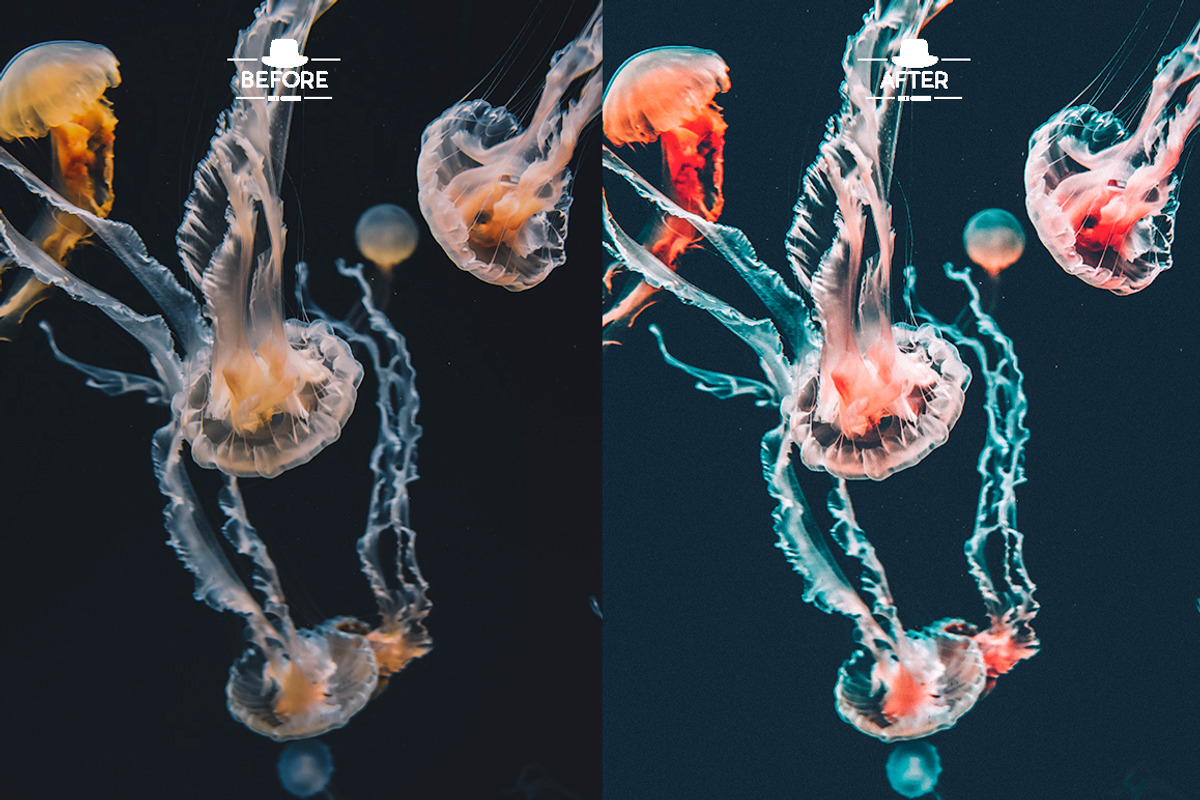 Sweet Lightroom Presets, an Action Add-On by Lavinsky Art Store (Photo 13 of 14)