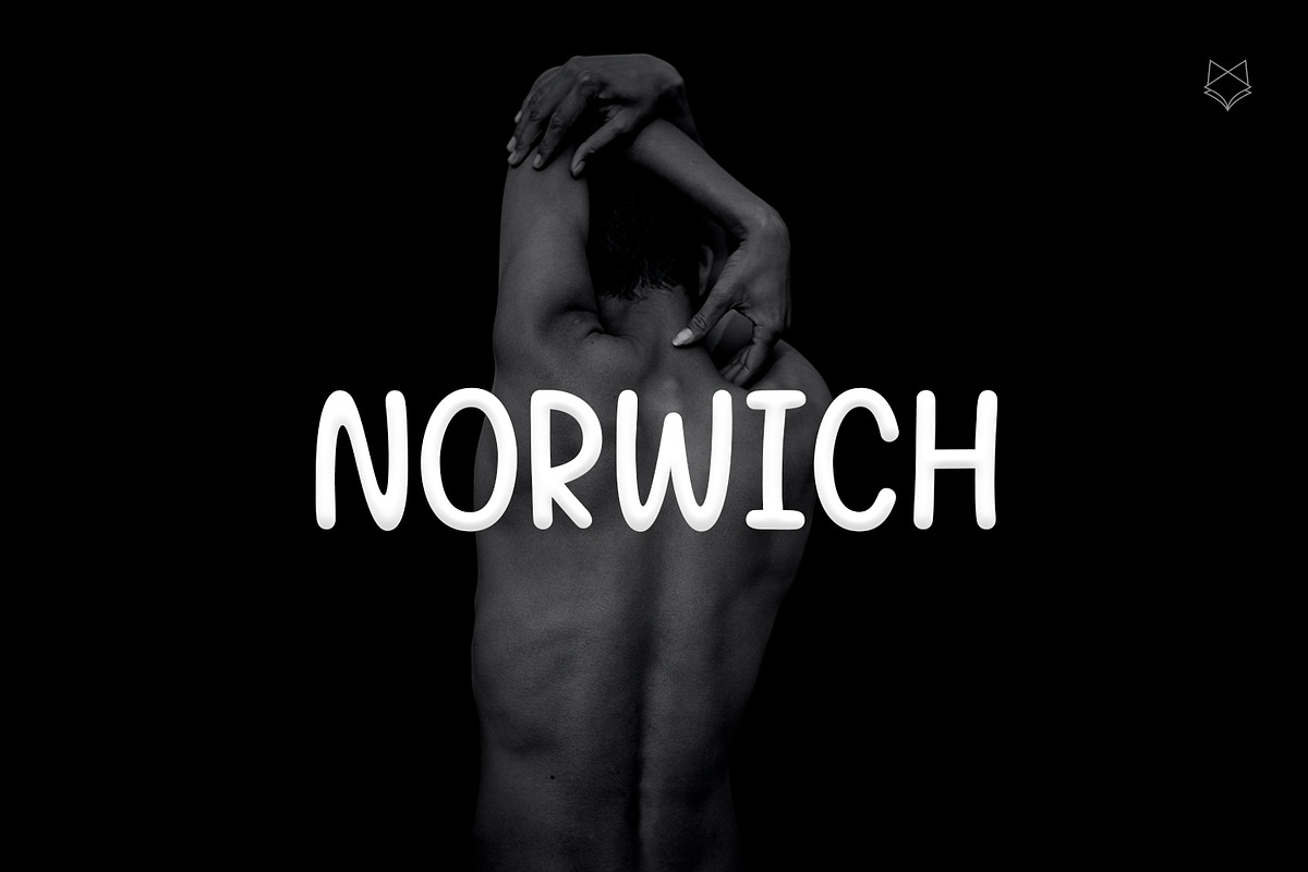 Norwich Funny Display, a Sans Serif Font by Foxtype (Photo 1 of 8)