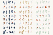 Winter Botany Set, a Decorative Illustration by Helga Wigandt (Thumbnail 8 of 10)