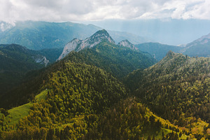 Aerial view forest and mountains landscape autumn nature majestic scenery in Ca