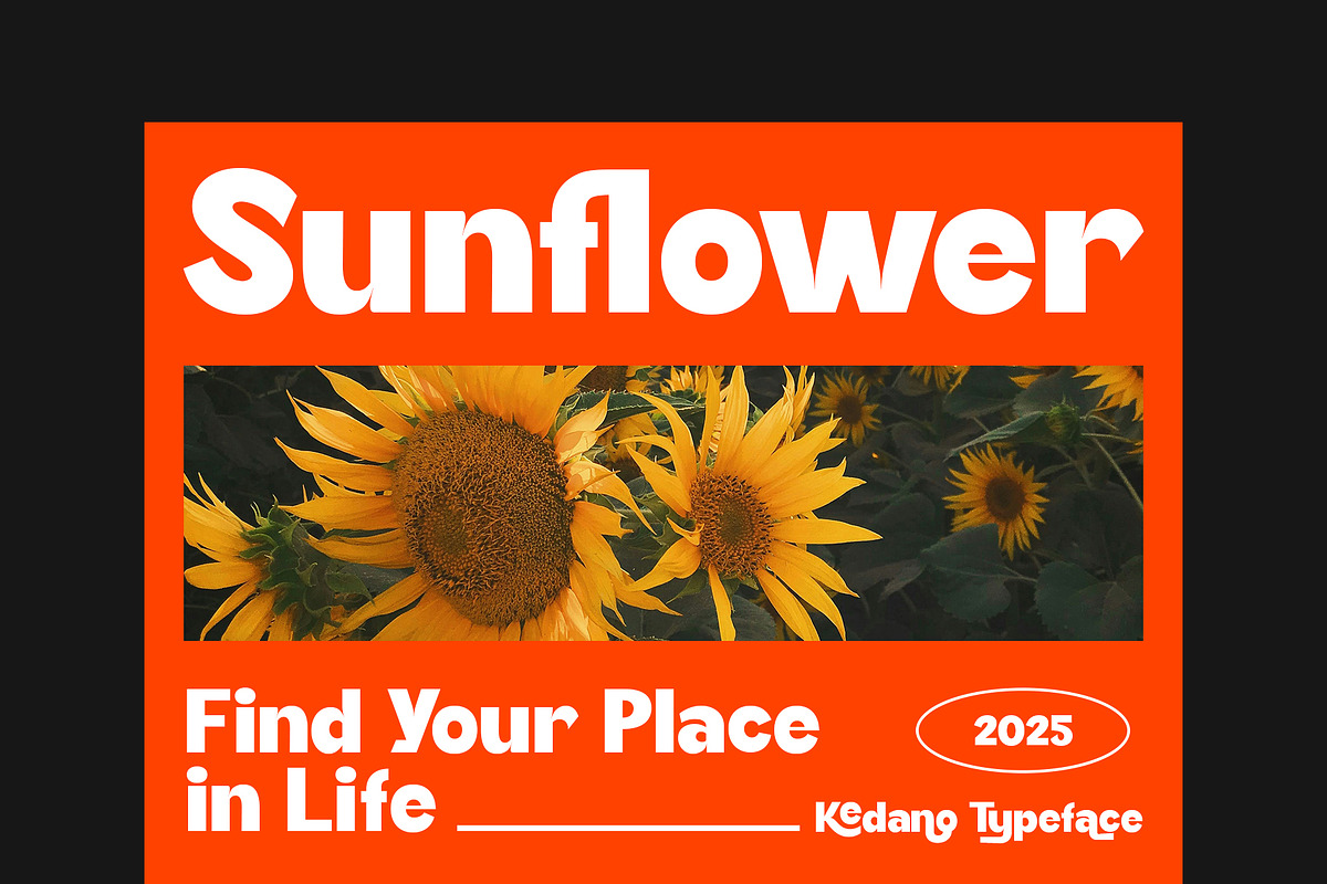 Kedano - Bold Display Font, a Sans Serif Font by Siwox Studios (Photo 2 of 8)