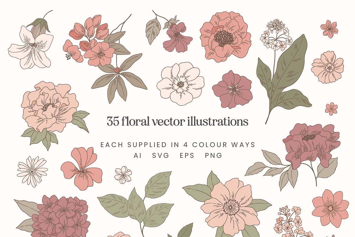 Blush Floral Vector Illustrations, a Decorative Illustration by Emma Webb Studio (Photo 2 of 12)