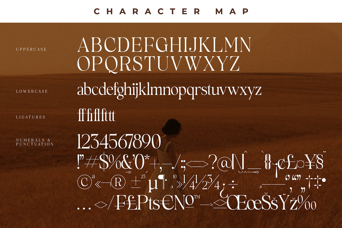 Rowfinde Modern Serif Font, a Serif Font by Storytype Studio (Photo 13 of 15)