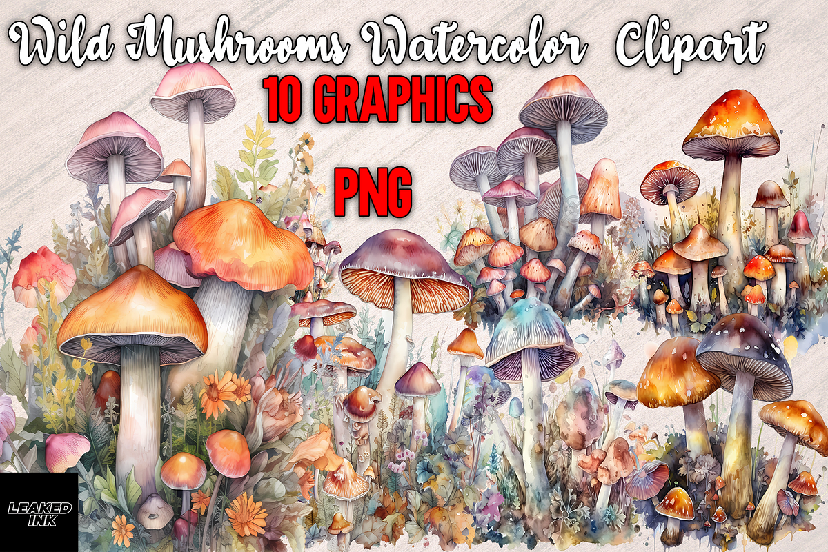 Wild Mushrooms Watercolor Clipart, a Food Illustration by Leakedink (Photo 1 of 4)