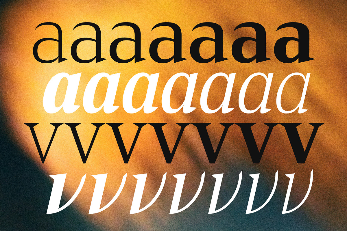 Cirvia Timeless & Fresh Serif Family, a Serif Font by Lettertype Studio (Photo 7 of 15)