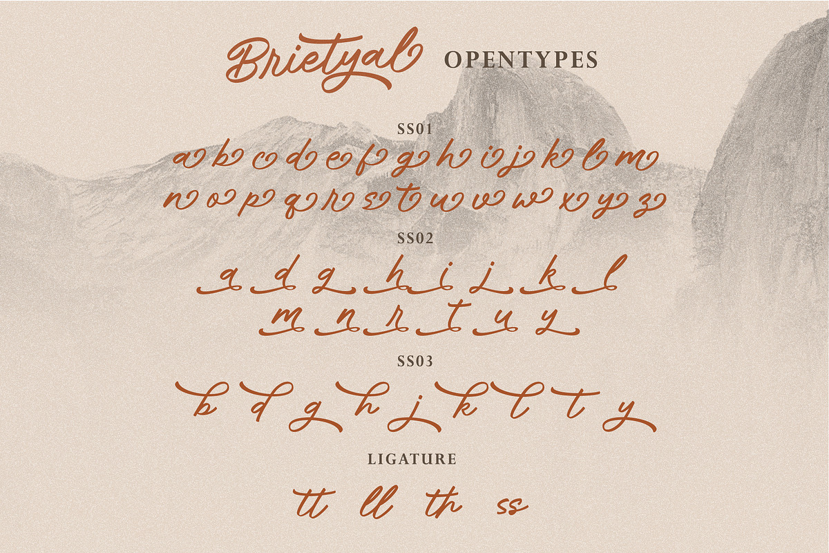 Brietyal Script | a handwritten font, a Script Font by Beautypes (Photo 7 of 8)