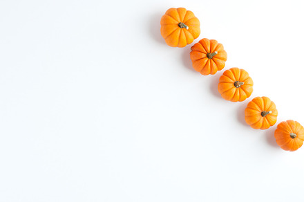 Pumpkins fall styled stock image featuring stock, photos, and stock photos, a Holiday Photo by Handmade Creative 