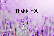 ULTRA VIOLET sans serif font family., a Sans Serif Font by Anna Zakharchenko (Thumbnail 12 of 12)