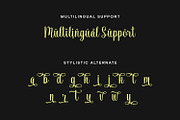 Vendila Script Font, a Script Font by Siwox Studios (Thumbnail 7 of 8)