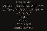 La Primera Ligature Serif, a Serif Font by Letteralle Studios (Thumbnail 13 of 13)
