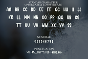 Special Designer, a Serif Font by FreshTypeINK (Thumbnail 7 of 8)