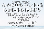 Ballpoint, a Handwritten Font by FreshTypeINK (Thumbnail 5 of 8)