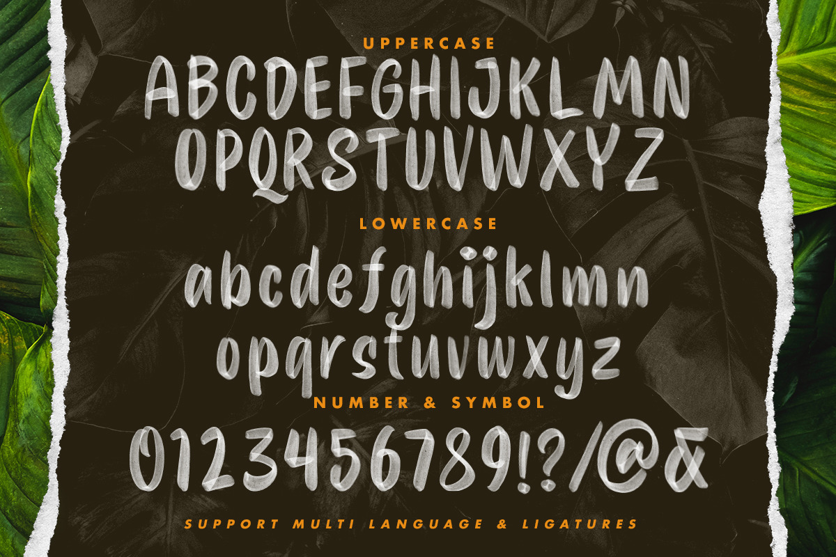 Festine - SVG Font, a Font by Letterhend Studio (Photo 8 of 9)