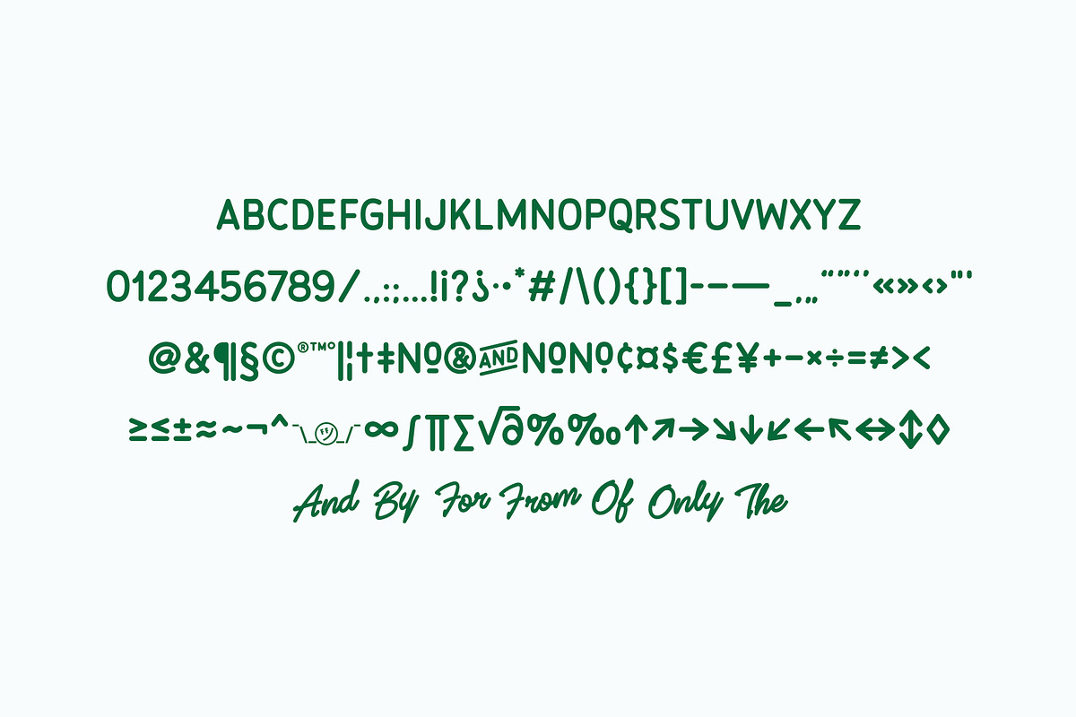 Flatface Haley's, a Script Font by Flatface (Photo 5 of 6)