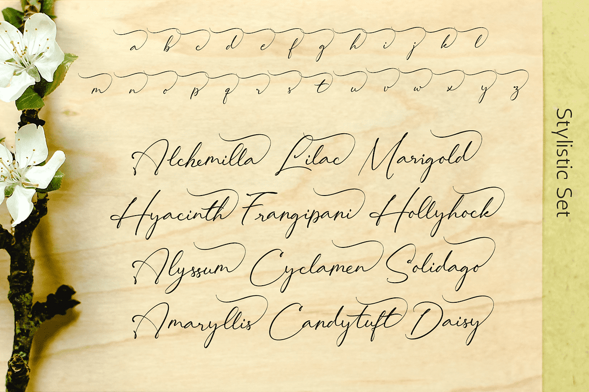 Lovely Hydrillas Font, a Script Font by Letterhanna Studio (Photo 9 of 20)