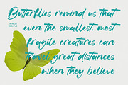 Satiate Ration Bold Brush Font, a Script Font by stylishtype.co (Thumbnail 5 of 20)