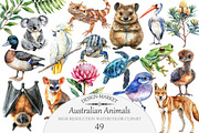 Watercolor Australian Animals Clipar, an Illustration by Design Market (Thumbnail 1 of 5)