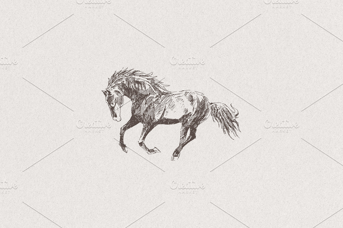 Sketch of a galloping horse, an Animal Illustration by TheMountBirdStudio (Photo 3 of 4)