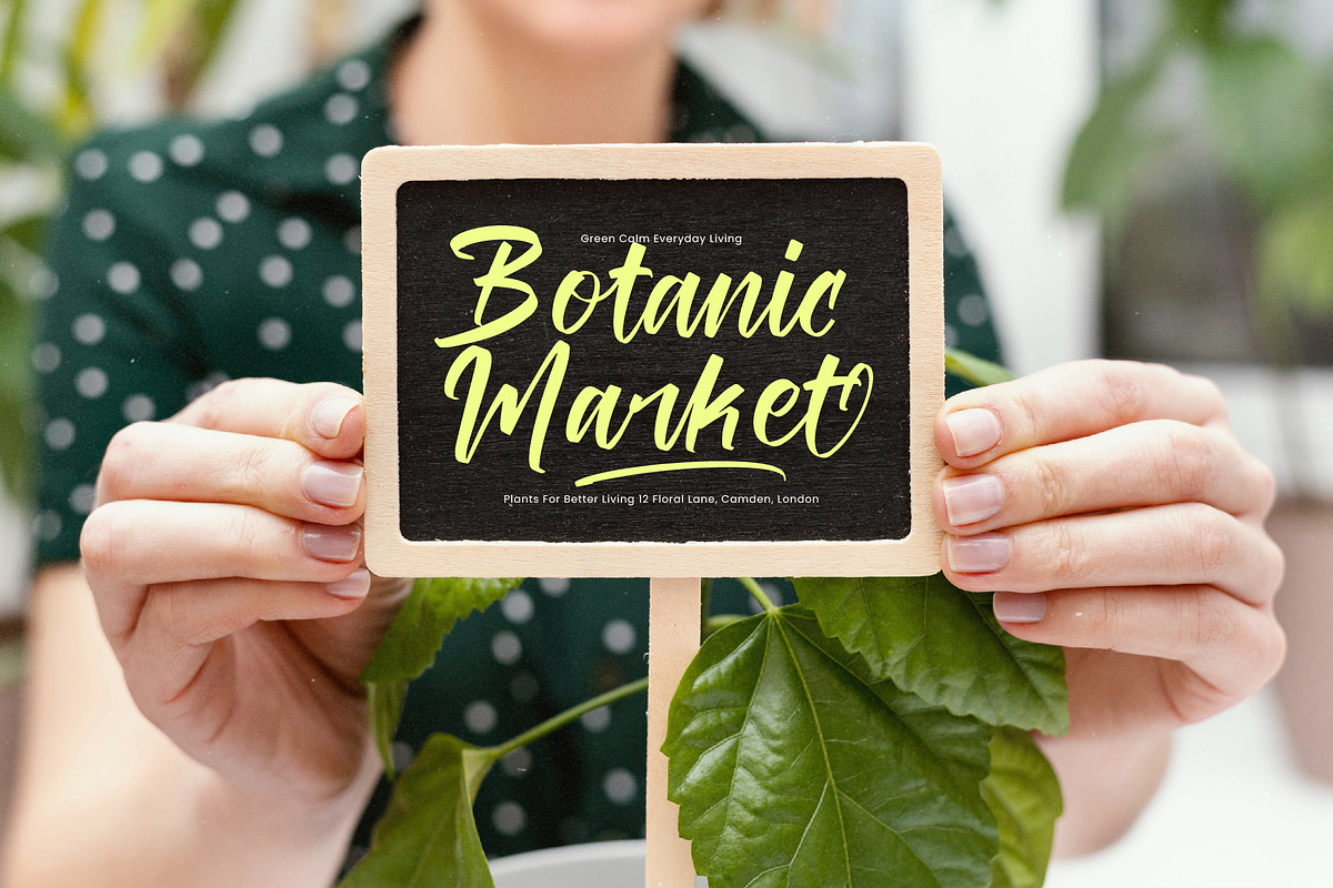 Tomato Balance Modern Handwritten, a Script Font by stylishtype.co (Photo 15 of 20)