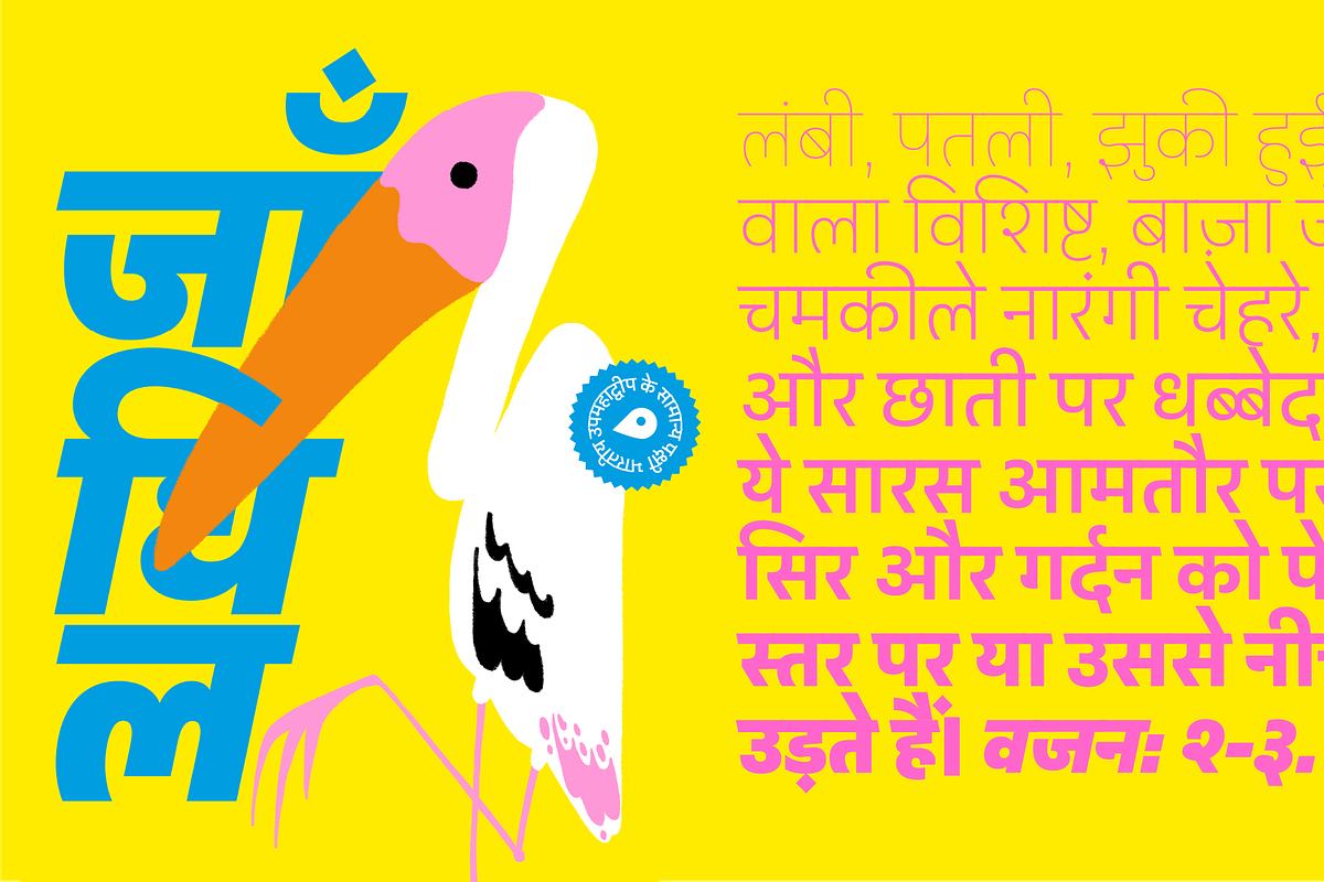 Peridot Devanagari, a Sans Serif Font by Foundry5 (Photo 2 of 10)