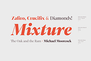 Mixta Essential, a Serif Font by Latinotype (Thumbnail 14 of 14)