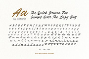 Verdons Wild - Vintage Brush Script, a Script Font by Bale Type (Thumbnail 10 of 10)