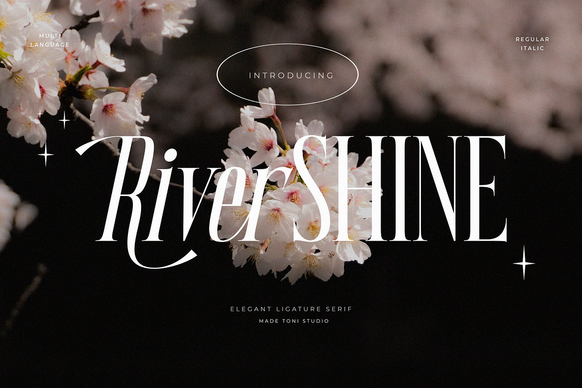 River Shine, a Serif Font by ToniStudio (Photo 1 of 15)