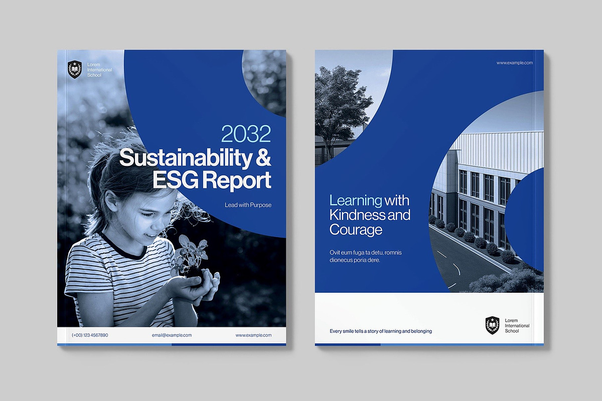 Report Brochure Template preview 5