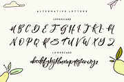 Blomming - Brush Font, a Script Font by Cruzine (Thumbnail 3 of 10)