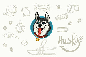 Husky dog