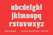 Black Bolder - Modern Serif Font, a Serif Font by HanzelSpace Studio (Thumbnail 9 of 10)