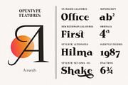Rodest - Font Family, a Serif Font by Graptail (Thumbnail 4 of 13)