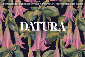 Floral Patterns With Datura