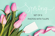 Spring set of photos with tulips, a Photo by Imageblend (Thumbnail 1 of 5)