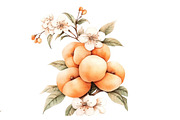 Peach Watercolor Clipart, an Illustration by Designworld (Thumbnail 4 of 5)