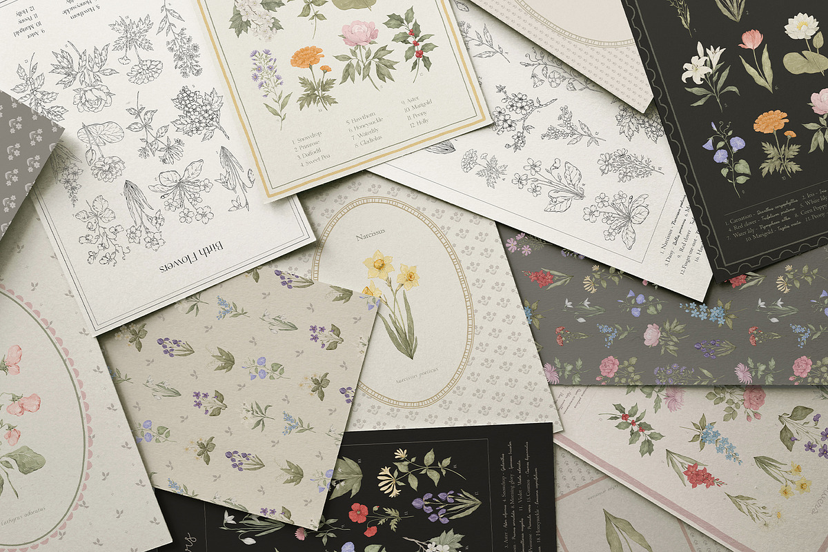 Wildflowers. Hand drawn pencil flora, a Decorative Illustration by Kreker Kate (Photo 2 of 12)