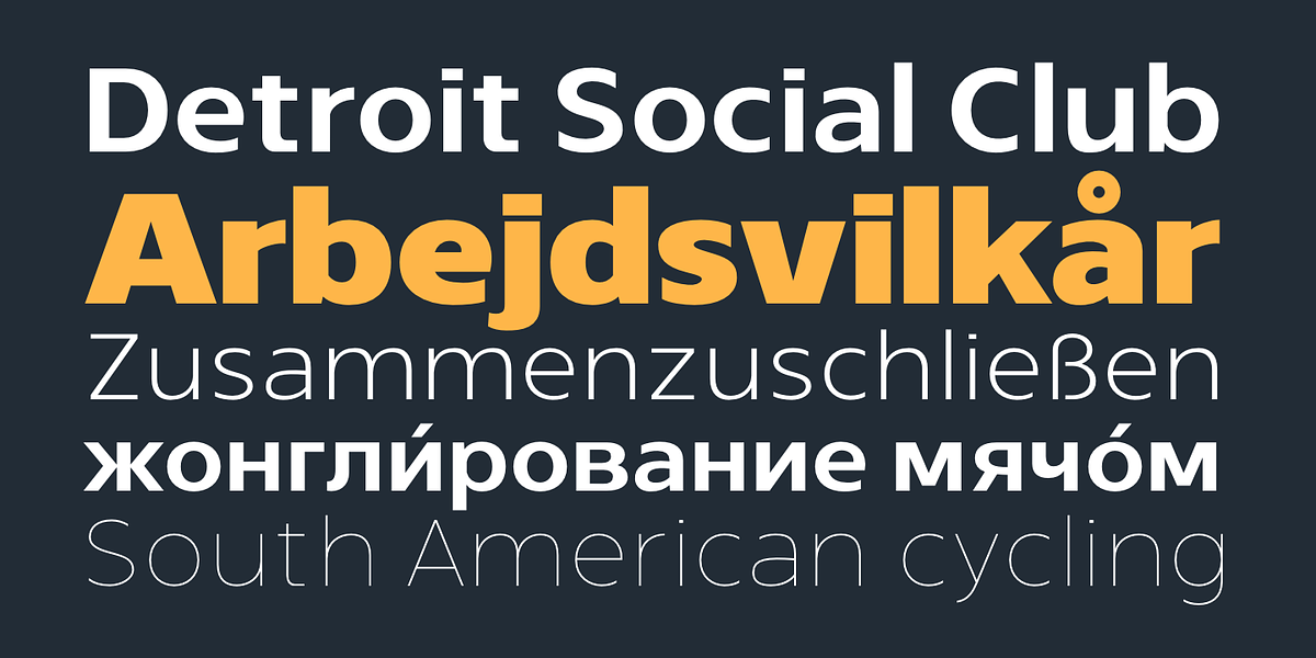 Ponder, a Sans Serif Font by TypeUnion (Photo 2 of 10)