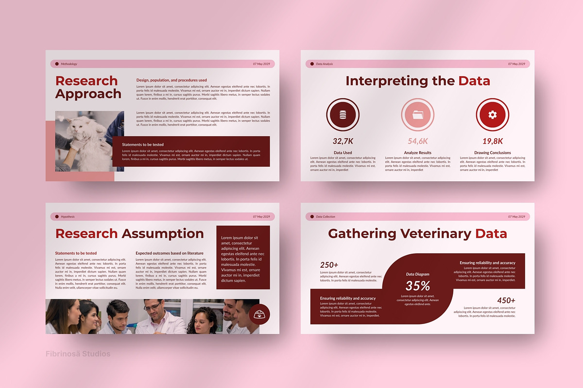 Veterinary - Thesis Defense preview 5