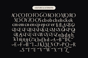 Qinfolk - Elegant Serif Font, a Serif Font by timelesstype.co (Thumbnail 19 of 20)