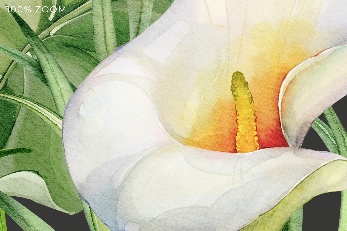 Calla Lily Seamless Pattern, a Pattern Graphic by PicByKate (Photo 9 of 13)