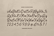 Alontima | Monoline Script, a Script Font by gracetype_studio (Thumbnail 10 of 12)