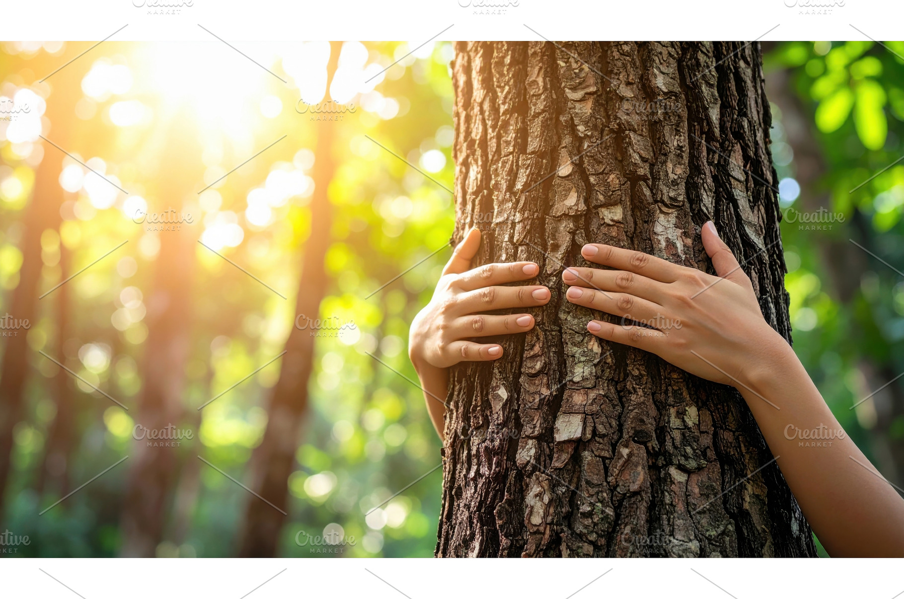 Hands embracing a tree in sunlight, a Nature Photo by Igor Tichonow