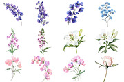 Wildflower Watercolor Flower Clipart, an Illustration by DreamCafeArt (Thumbnail 3 of 8)
