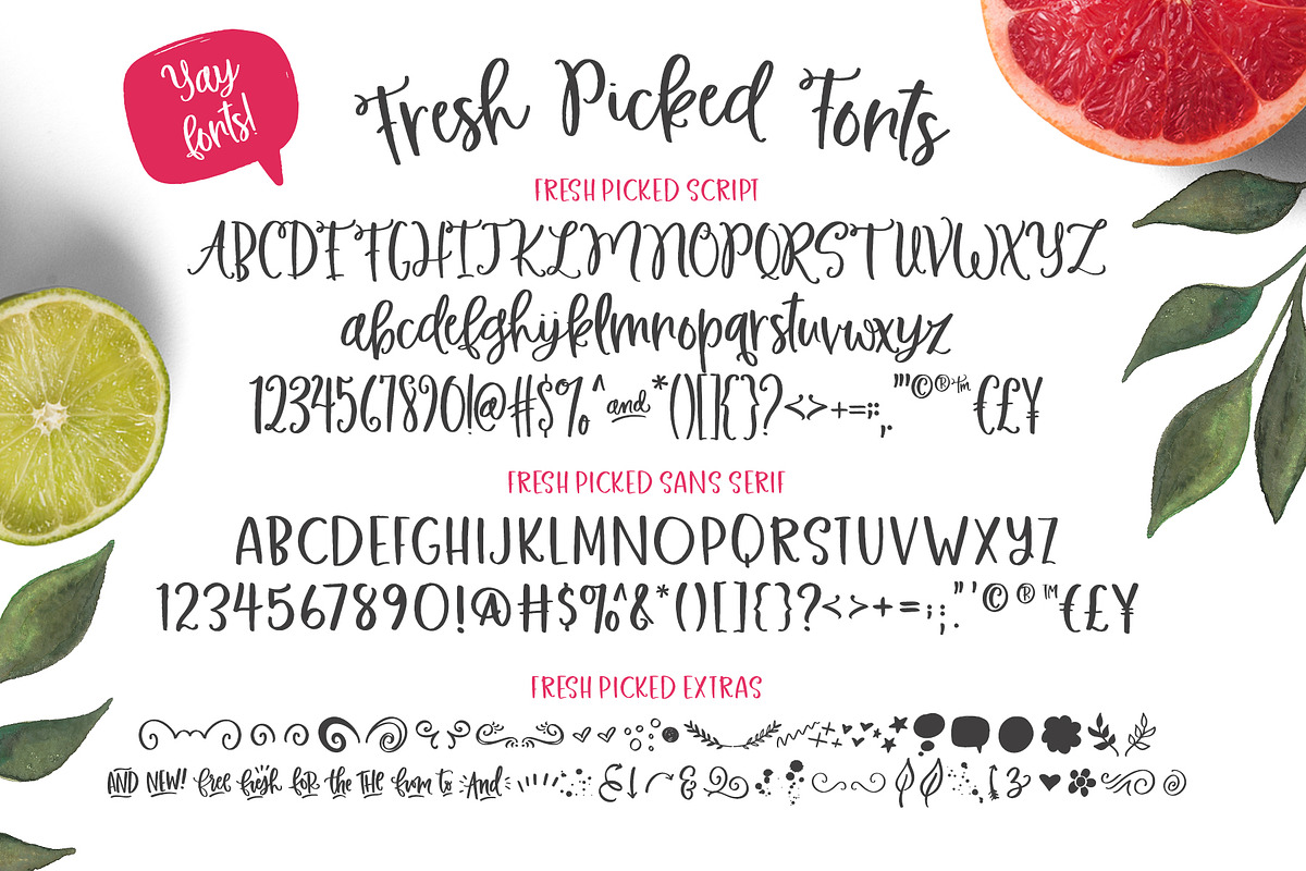 Fresh Picked Watercolor & Font Kit preview 4