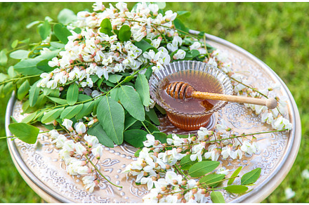 Honey from acacia in the garden, a Nature Photo by yanadjana