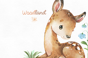 Woodland. Animal Collection, an Animal Illustration by StarJam (Thumbnail 5 of 9)
